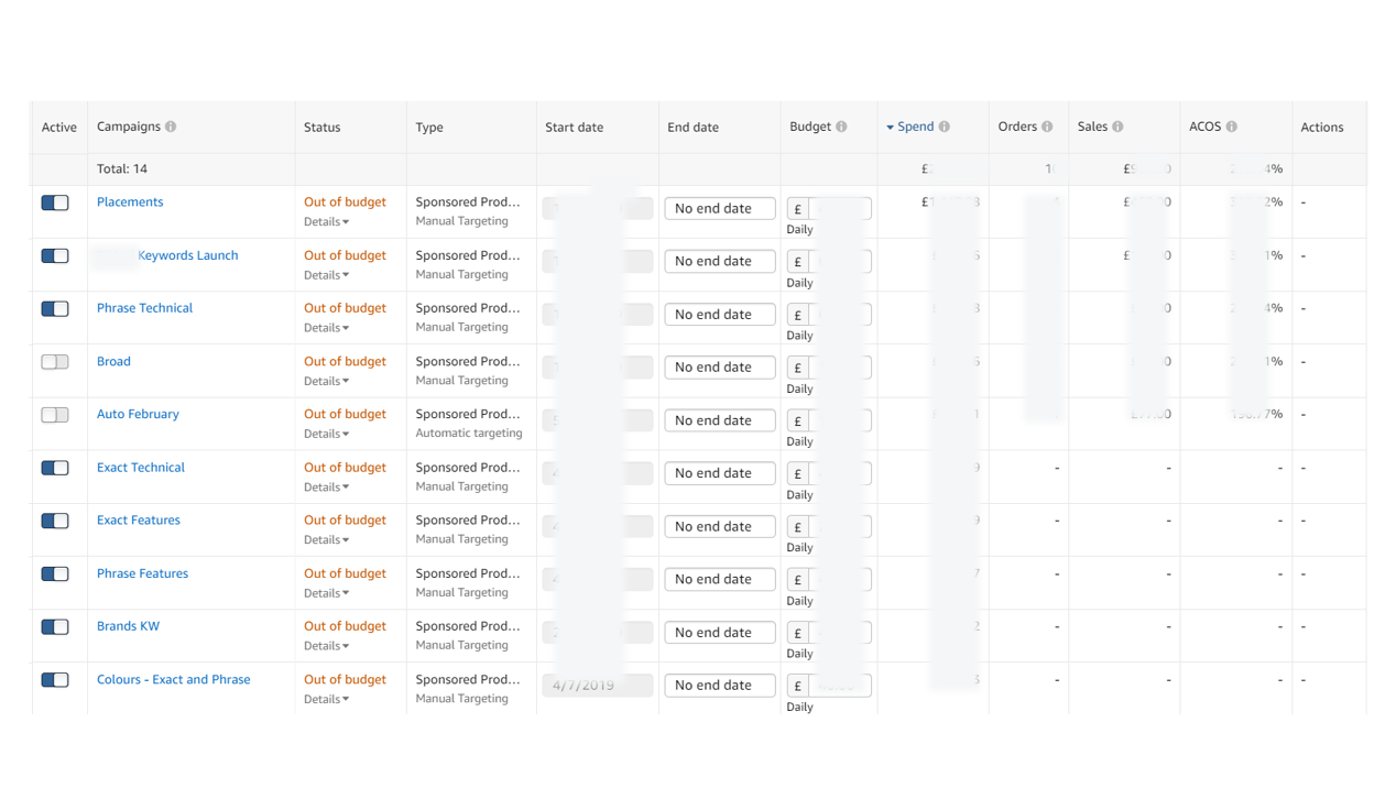 Image showing the campaign level on the Amazon Ads Audit - this shows that all of the budgets have run out and it has not been profitable to run. They have paid more money to Amazon than they made back in sales