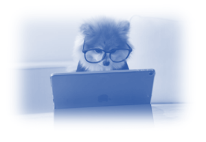 Image showing a dog with business glasses on working at a laptop - Google Ads vs Microsoft Ads – What are the key differences