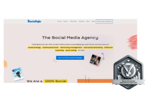 Homepage of SociallyIn, a contender for Best Influencer Marketing Agencies, featuring a bold tagline 'The Social Media Agency' with services like social strategy and influencer marketing, and a silver award badge for 2024.