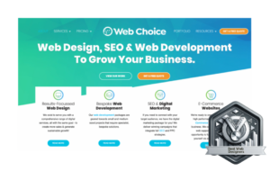 Best web designers 2024 silver award emblem on a professional web design and SEO services webpage, promoting business growth with bespoke web development, digital marketing, and e-commerce solutions.