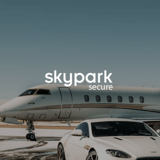 SkyPark Secure - Return on Ad Spend up 241%