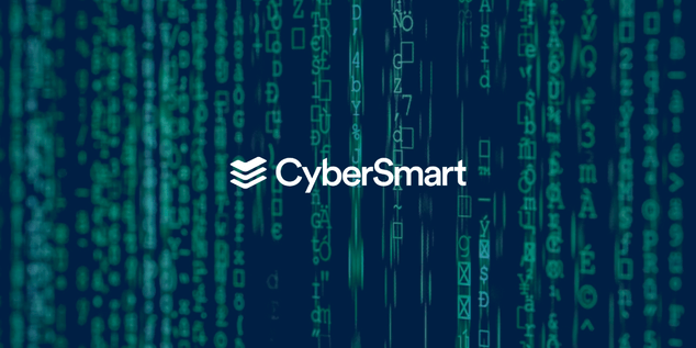 CyberSmart: Increased Conversions by 331%