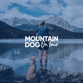 Mountain Dog - ROAS up 57% and CPA down 40%